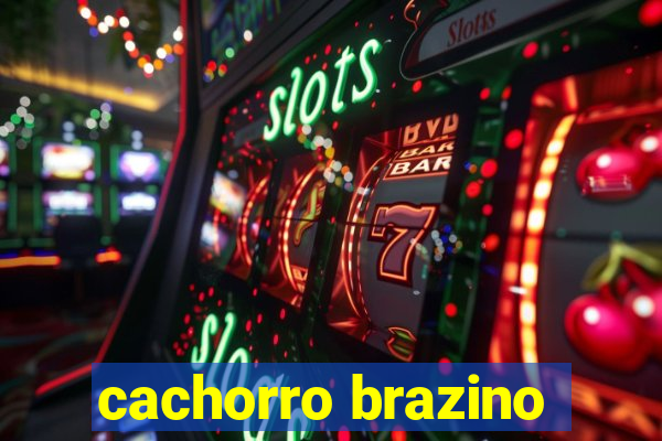 cachorro brazino